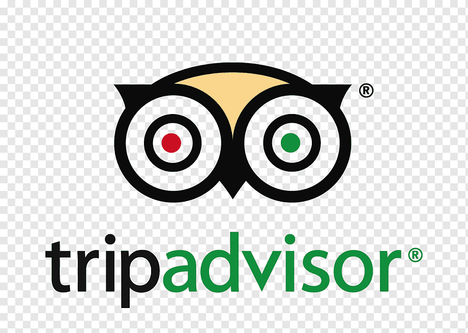 Trip Advisor Euro Disney Transfer